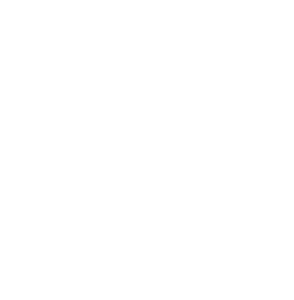 Le Mycéliste